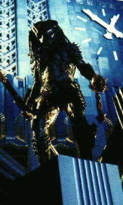 predator2.jpg